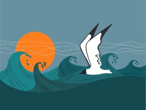 digital art of a seagul, sea and sunset
